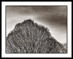 Load image into Gallery viewer, A Mountain of Trees - Framed Print
