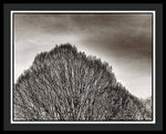 Load image into Gallery viewer, A Mountain of Trees - Framed Print
