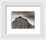 Load image into Gallery viewer, A Mountain of Trees - Framed Print

