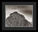 Load image into Gallery viewer, A Mountain of Trees - Framed Print
