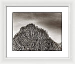 Load image into Gallery viewer, A Mountain of Trees - Framed Print
