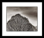 Load image into Gallery viewer, A Mountain of Trees - Framed Print
