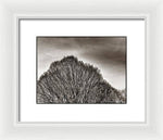 Load image into Gallery viewer, A Mountain of Trees - Framed Print
