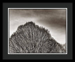 Load image into Gallery viewer, A Mountain of Trees - Framed Print
