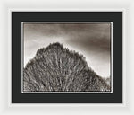 Load image into Gallery viewer, A Mountain of Trees - Framed Print
