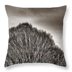 Load image into Gallery viewer, A Mountain of Trees - Throw Pillow
