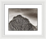 Load image into Gallery viewer, A Mountain of Trees - Framed Print
