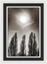 Load image into Gallery viewer, A Trio of Trees 2 - Framed Print
