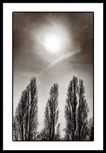 Load image into Gallery viewer, A Trio of Trees 2 - Framed Print
