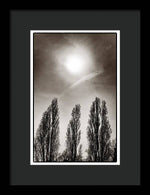 Load image into Gallery viewer, A Trio of Trees 2 - Framed Print
