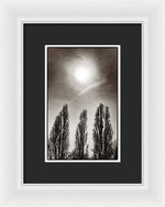 Load image into Gallery viewer, A Trio of Trees 2 - Framed Print
