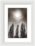 Load image into Gallery viewer, A Trio of Trees 2 - Framed Print

