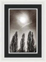 Load image into Gallery viewer, A Trio of Trees 2 - Framed Print

