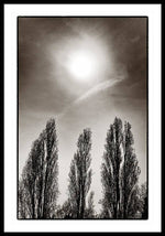 Load image into Gallery viewer, A Trio of Trees 2 - Framed Print

