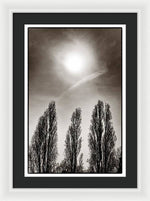 Load image into Gallery viewer, A Trio of Trees 2 - Framed Print
