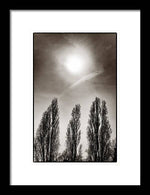 Load image into Gallery viewer, A Trio of Trees 2 - Framed Print

