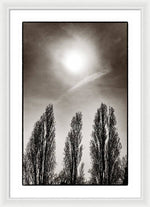 Load image into Gallery viewer, A Trio of Trees 2 - Framed Print
