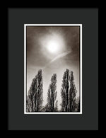 Load image into Gallery viewer, A Trio of Trees 2 - Framed Print
