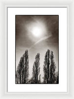 Load image into Gallery viewer, A Trio of Trees 2 - Framed Print

