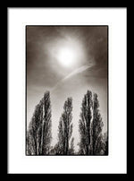 Load image into Gallery viewer, A Trio of Trees 2 - Framed Print
