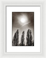 Load image into Gallery viewer, A Trio of Trees 2 - Framed Print
