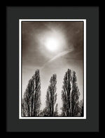 Load image into Gallery viewer, A Trio of Trees 2 - Framed Print
