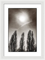 Load image into Gallery viewer, A Trio of Trees 2 - Framed Print
