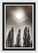Load image into Gallery viewer, A Trio of Trees 2 - Framed Print
