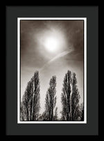 Load image into Gallery viewer, A Trio of Trees 2 - Framed Print
