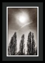 Load image into Gallery viewer, A Trio of Trees 2 - Framed Print

