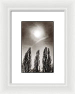Load image into Gallery viewer, A Trio of Trees 2 - Framed Print
