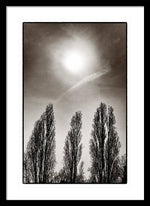 Load image into Gallery viewer, A Trio of Trees 2 - Framed Print
