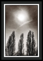 Load image into Gallery viewer, A Trio of Trees 2 - Framed Print
