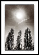 Load image into Gallery viewer, A Trio of Trees 2 - Framed Print
