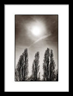 Load image into Gallery viewer, A Trio of Trees 2 - Framed Print
