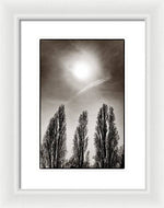 Load image into Gallery viewer, A Trio of Trees 2 - Framed Print
