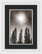 Load image into Gallery viewer, A Trio of Trees 2 - Framed Print
