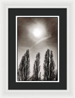 Load image into Gallery viewer, A Trio of Trees 2 - Framed Print
