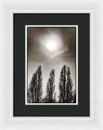 Load image into Gallery viewer, A Trio of Trees 2 - Framed Print
