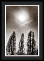 Load image into Gallery viewer, A Trio of Trees 2 - Framed Print
