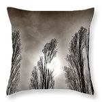 Load image into Gallery viewer, A Trio of Trees  - Throw Pillow
