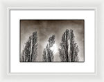 Load image into Gallery viewer, A Trio of Trees  - Framed Print
