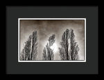 Load image into Gallery viewer, A Trio of Trees  - Framed Print
