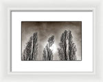 Load image into Gallery viewer, A Trio of Trees  - Framed Print
