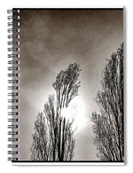 Load image into Gallery viewer, A Trio of Trees  - Spiral Notebook
