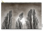 Load image into Gallery viewer, A Trio of Trees  - Carry-All Pouch
