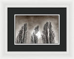 Load image into Gallery viewer, A Trio of Trees  - Framed Print
