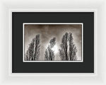 Load image into Gallery viewer, A Trio of Trees  - Framed Print
