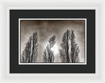 Load image into Gallery viewer, A Trio of Trees  - Framed Print
