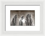 Load image into Gallery viewer, A Trio of Trees  - Framed Print
